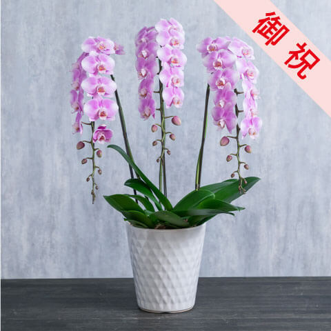be8353bcf3ca9e2ca5ae4fae837fb0