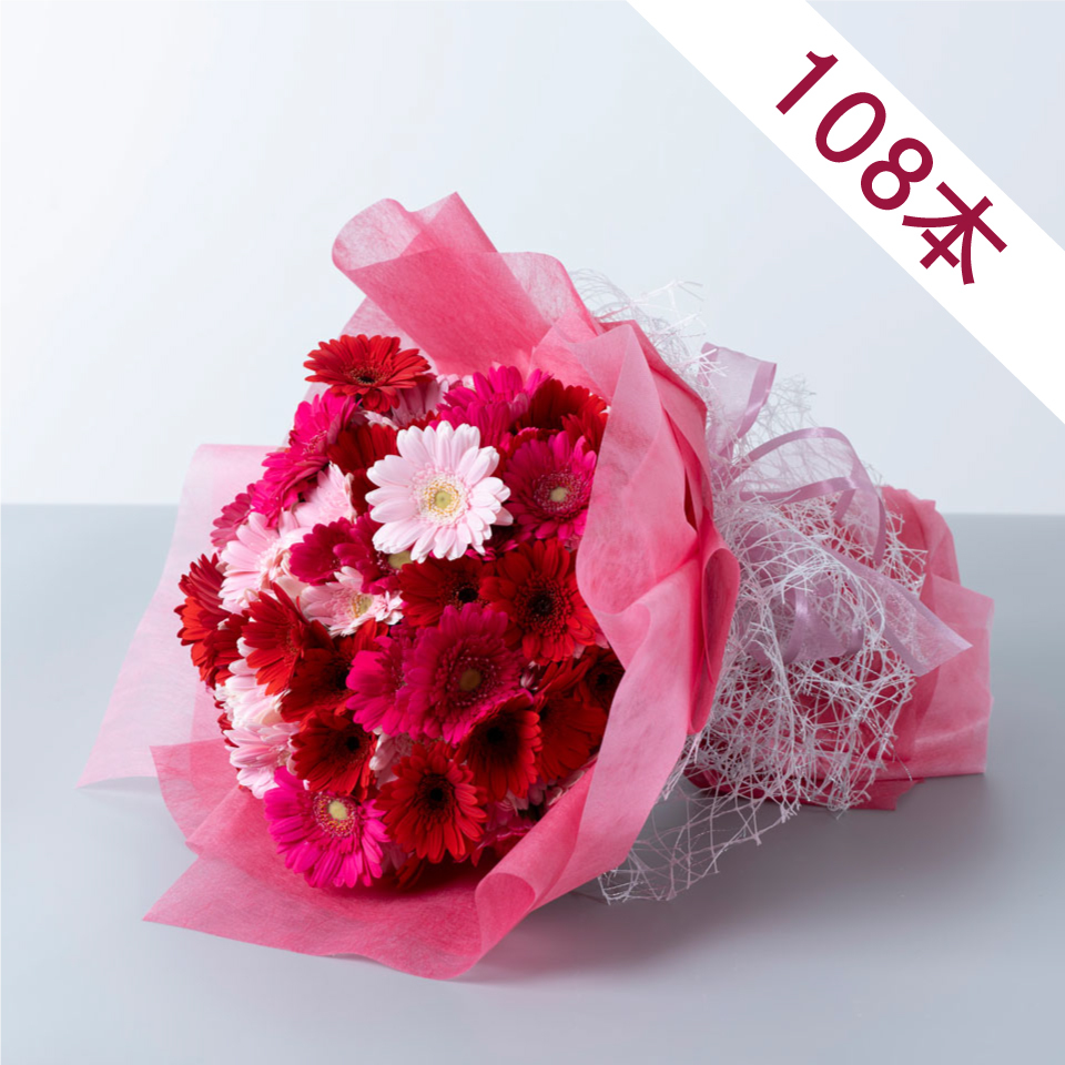 ガーベラ108本の花束｜広島花屋オンラインショップ花将