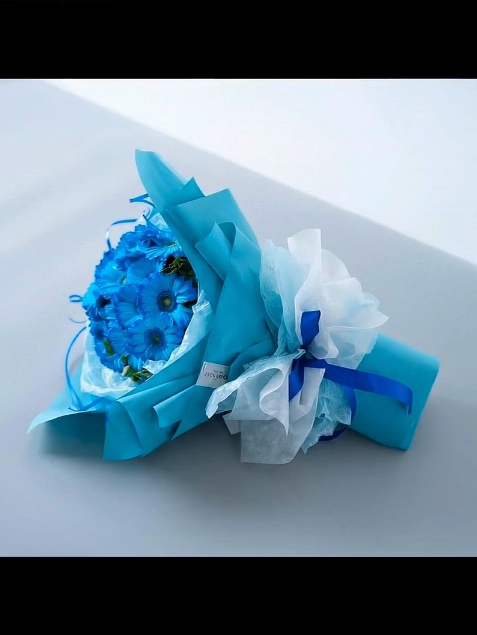 青いガーベラ20本の花束｜広島花屋オンラインショップ花将